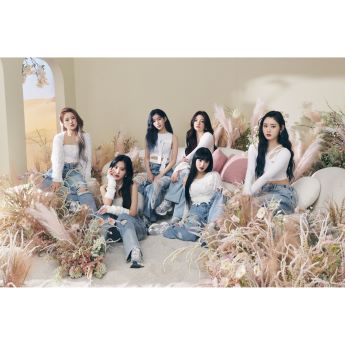 트라이비