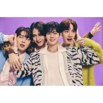 하이라이트
