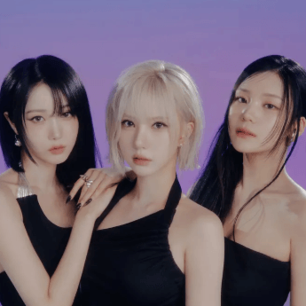 비비지