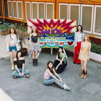 튜이드